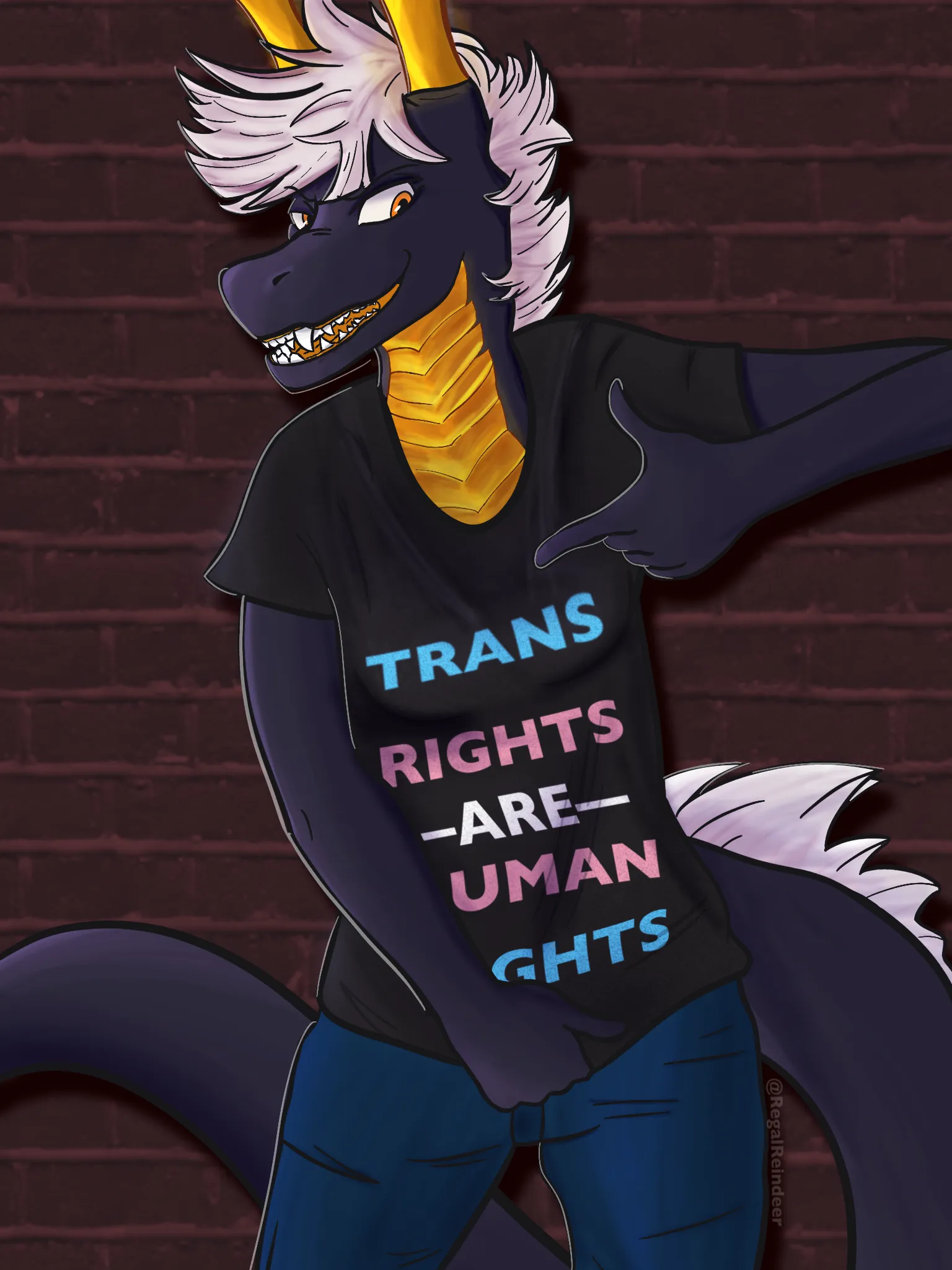 TransRightsDyrim
