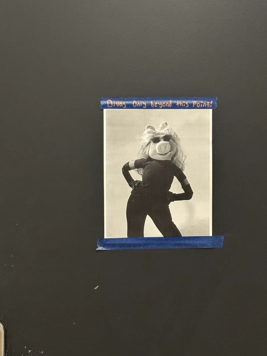 close-up of the printout. It is a person wearing a muppets Ms. Piggy head, and the tape above it says "Divas Only Beyond This Point!"