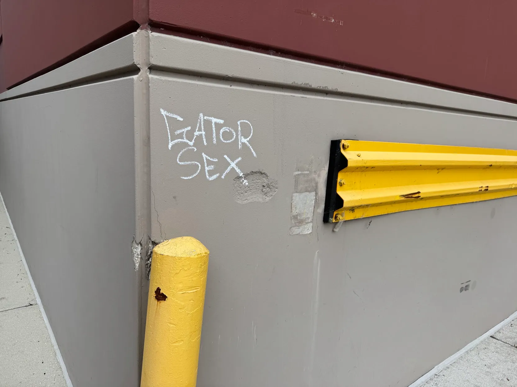 gator sex