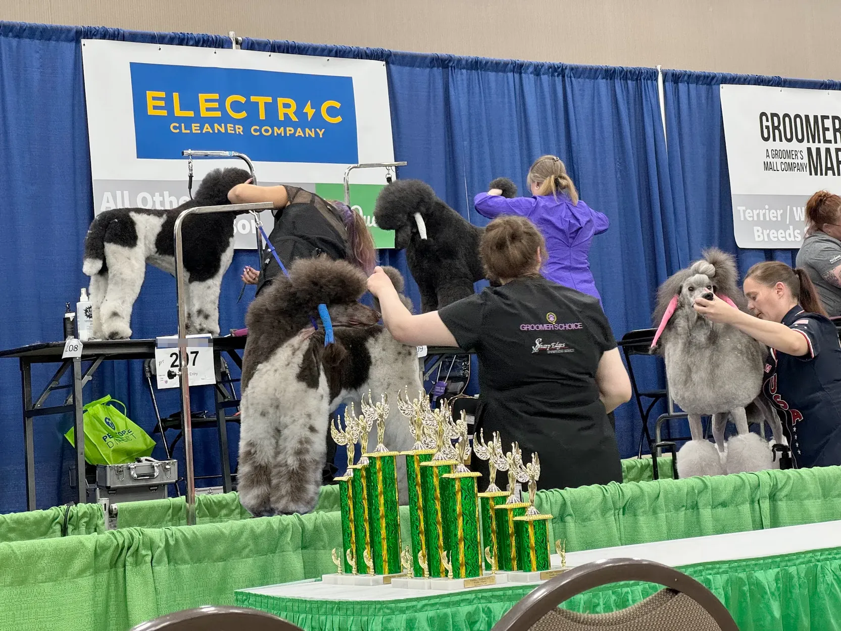 More poodles being groomed at a live grooming competition. The table with the award trophies is in the foreground